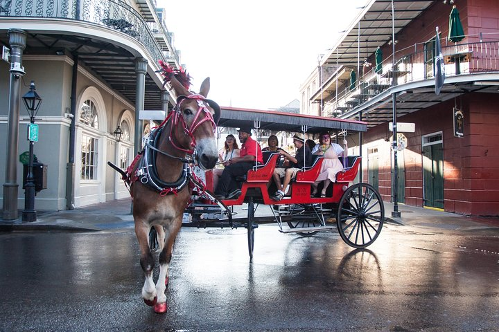 New Orleans French Quarter and More Carriage Ride  - Photo 1 of 11